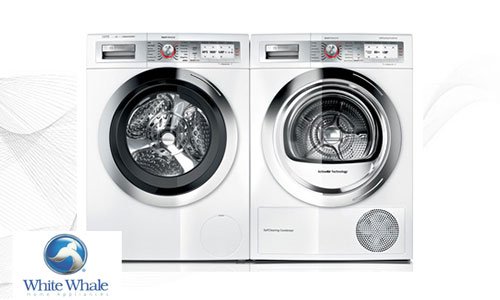 وايت ويل مصر